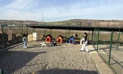 Bartın Üniversitesi’nde Hayvan Yaşam Merkezi kuruldu