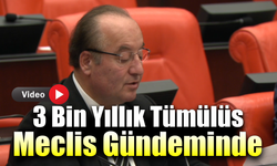 Yenice’deki kadim tümülüs için koruma istendi