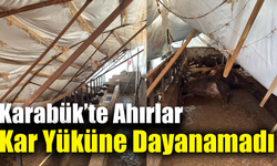 Karabük’te kar ağırlığı ahırları çökertti