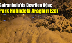 Bağlar Sitesi’nde çam ağacı araçların üzerine devrildi