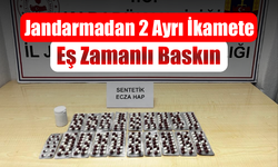 Karabük'te 265 sentetik ecza ele geçirildi