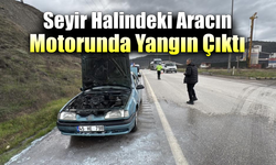 Sürücünün dikkati facianın önüne geçti