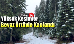 Keltepe ve Sarıçiçek Yaylası kar yağışıyla beyaza büründü