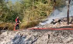 Cide’de kardeş kavgası mahkemeye taşındı