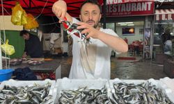 Zonguldak'ta istavrit tezgahta 100 liradan satıldı