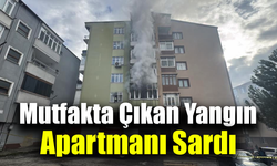 Mutfakta çıkan yangın apartmanı sardı