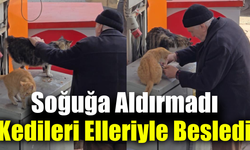 Yaşlı adamın sokak kedilerine şefkati yürekleri ısıttı