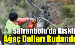 Safranbolu Belediyesi’nden park ve sokaklarda ağaç temizliği