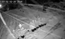 Ilgaz’da kar yağışı yeniden etkili oldu