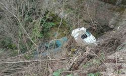 Alaplı’da kamyon şarampole yuvarlandı