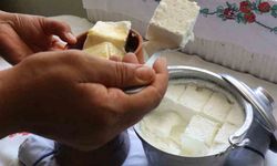 Bartın’ın manda yoğurdu ulusal envantere girdi