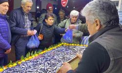 Bolu’da hamsi bolluğu tezgahlara yansıdı