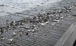 Zonguldak’ta plastik atıklar sahile vurdu