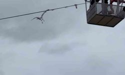 Limanda mahsur kalan martıyı itfaiye kurtardı