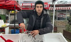 Sezon sonu yaklaşırken balık tercihleri değişiyor!