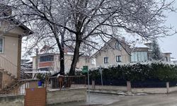 Bolu'da kar yağışı etkisini sürdürüyor