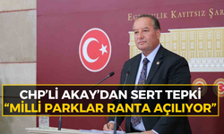 CHP’li Akay: “Bu düzenleme doğayı değil, şirketleri koruyor!”