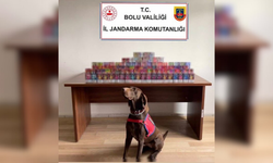 Şüpheli araç durduruldu, 150 kaçak ürün çıktı!