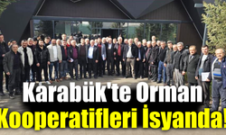 Karabük orman kooperatifleri yetkililere seslendi