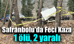 Safranbolu-Bartın kara yolunda otomobil ağaca çarptı