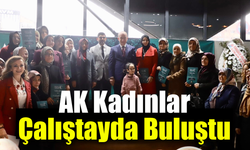 Karabük’te kadınların siyasetteki rolü çalıştayda ele alındı