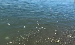 Zonguldak’ta kıyı şeridi alarm veriyor