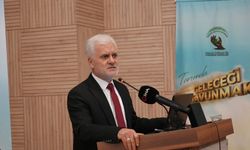 Kastamonu’da defne üretimi 3 bin hektarı aştı