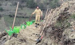 Bartın'da kül olan alanlar geleceğe nefes oldu