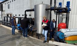 Tavuk çiftliği krizi büyüyor: İşletmeci iddiaları reddetti