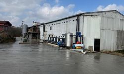 Telef Tavuk Skandalı: Çiftliğe Dev Para Cezası