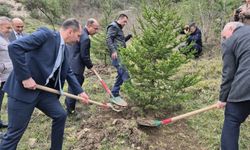 Bartın’da hükümlüler Adalet Ormanı’nda fidan dikti