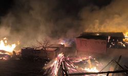 Köy Alevlere Teslim Oldu: Çok Sayıda Yapı Küle Döndü