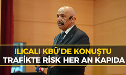 Eski Vekil Ilıcalı Denetimleri Ceza Yazmak  İçin Yapmıyoruz