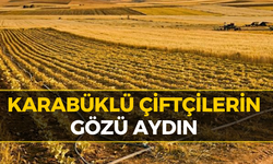 Karabüklü Çiftçilere Destek Ödemesi Müjdesi