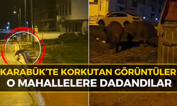 Karabüklüler Aman Dikkat: Aç Kalınca Şehre İndiler!