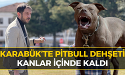 Pitbull Terörü Parkı Kana Buladı