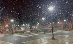 Kastamonu'da kar yağışı etkili oldu