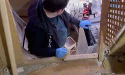 Kastamonu’da kaçak tütün operasyonu