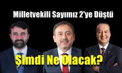 Milletvekili Sayısı 2'ye Düştü, Hesaplar Sil Baştan