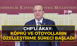 CHP'li Akay'dan "özelleştirme" tepkisi