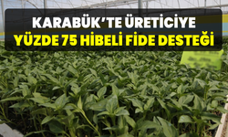 Sebze fidesi desteği için başvurular başladı