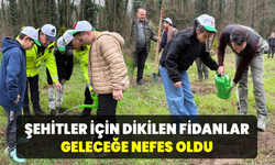 Şehitlerin hatırası Yenice’de fidanlarla yaşatıldı