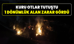 Karabük’te ormanlık alanda korkutan yangın!