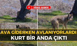 Karabük Eflani'de Balıkçıların Önünü Kurt Kesti!