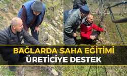 Safranbolu’da Bağlarda Entegre Mücadele Eğitimi