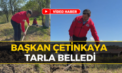 Başkan Çetinkaya Kolları Sıvadı, Tarlada Ter Döktü!