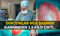 Kilo Verme Hayaliyle Giden Gencin Karnından Bakın Ne Çıktı