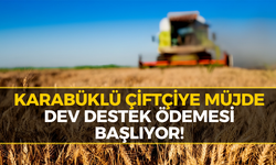 Çiftçiye Destek Müjdesi: Rakamlar Güncellendi!