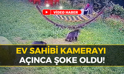 Karabük’te Bahçeye Giren Ayılar Korkuttu! İşte O Anlar