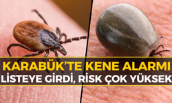 Karabük'te Ölümcül Tehlike: 10 Riskli İl Arasında